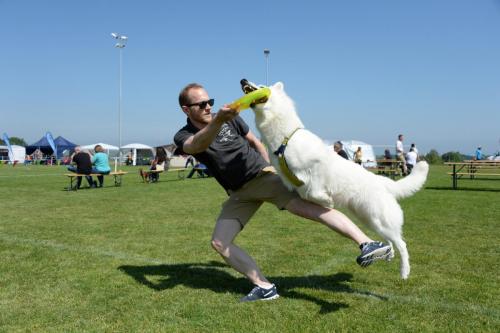 2018-05-12 DiscDogs  11