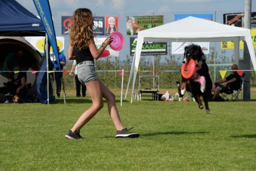 2018-05-12 DiscDogs  44